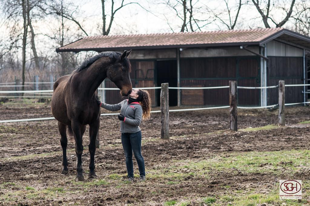 San Giacomo Horses & Agriturismo Arluno Bagian luar foto
