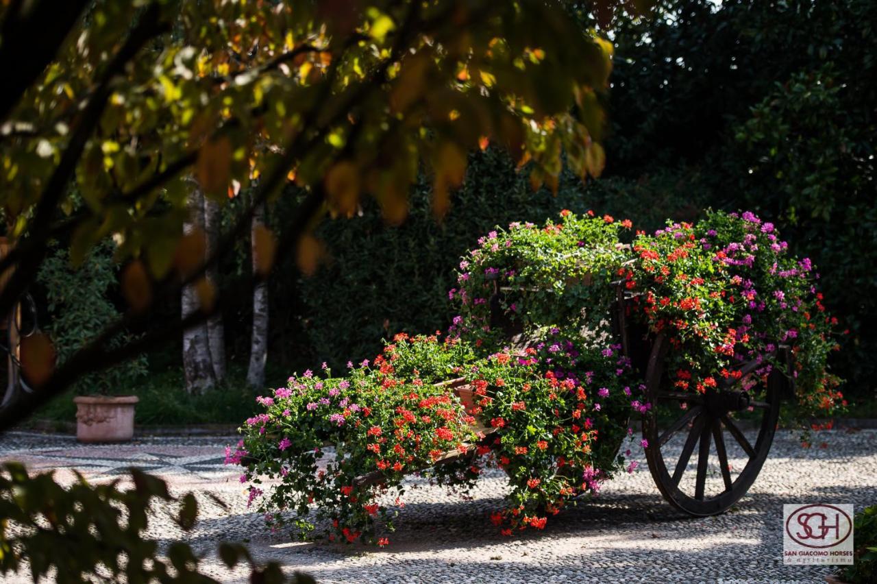 San Giacomo Horses & Agriturismo Arluno Bagian luar foto